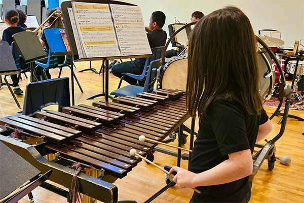 A boy plays xylophone